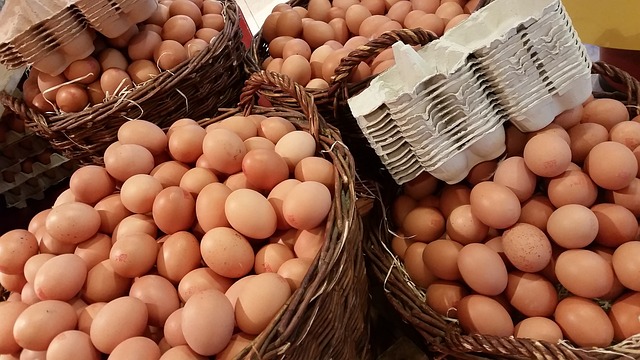 Eggs prices